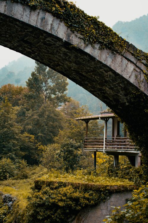 Free Charming view of a rustic cabin nestled under a stone bridge amidst lush greenery in a mountainous setting. Stock Photo