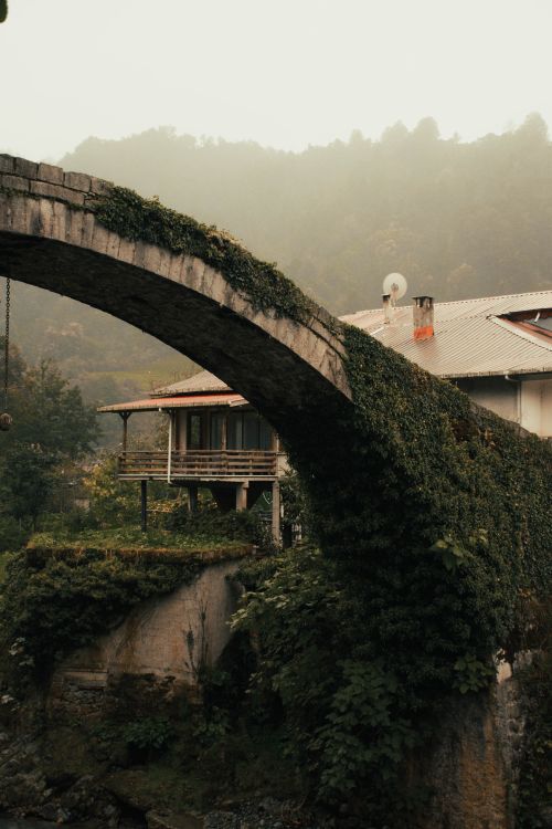 Free A scenic view of a historic stone bridge covered in ivy, surrounded by lush greenery and a misty atmosphere. Stock Photo