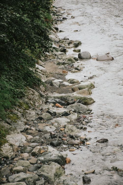 Free A picturesque view of a rocky riverbank with flowing water, surrounded by greenery. Stock Photo