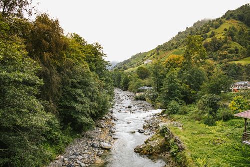 Free Picturesque river flowing through a lush green mountain valley in late summer. Stock Photo