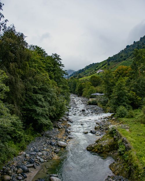 Free Beautiful river flowing through a lush green valley surrounded by forested hills on a cloudy day. Stock Photo