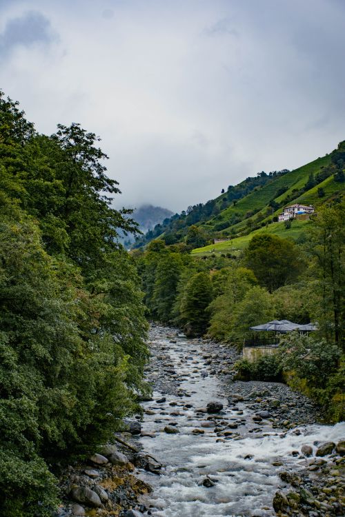 Free Enchanting view of a stream flowing through lush green mountains, creating a serene natural landscape. Stock Photo