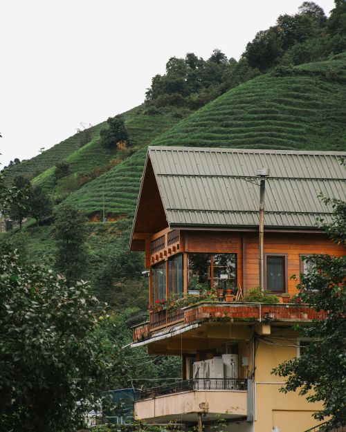 Free Explore a cozy wooden house nestled amidst vibrant green tea plantations, creating a serene rural setting. Stock Photo