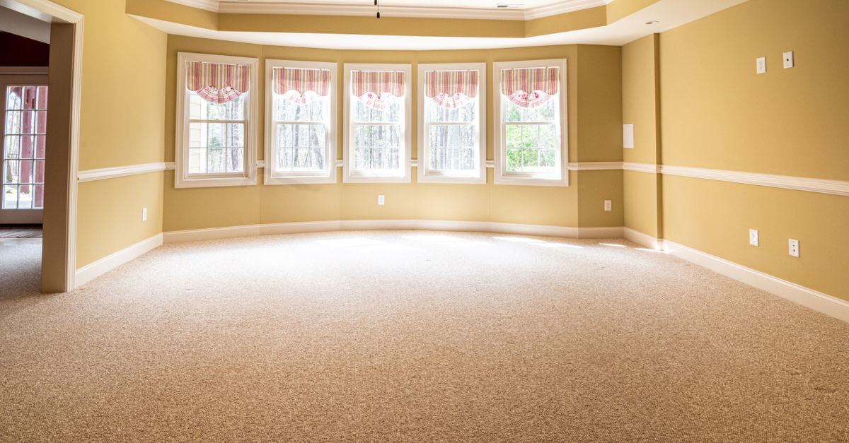 Bright empty room with large windows, carpet flooring, and ceiling fan, ideal for residential use.