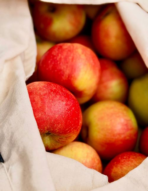 Free Vibrant red apples fresh from harvest in a rustic linen bag. Stock Photo