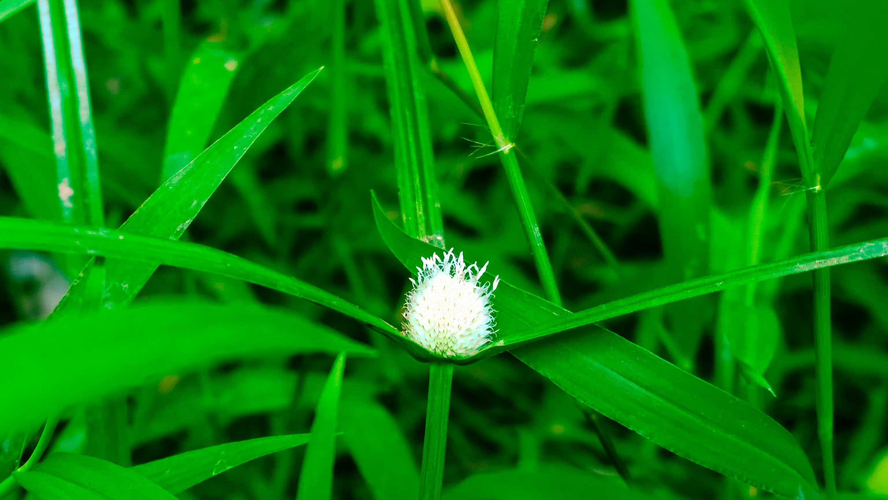 장기렌트 비용 그래프