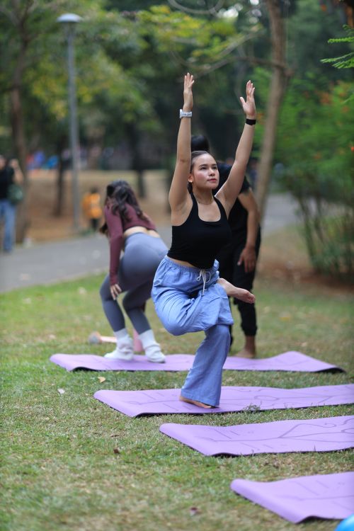 Free Group yoga session in Jakarta park showcasing balance and flexibility exercises. Stock Photo