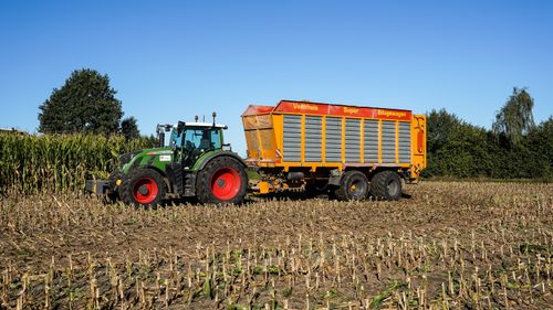 Free Tractor and trailer harvesting corn in Gülzow, Schleswig-Holstein on a clear fall day. Stock Photo