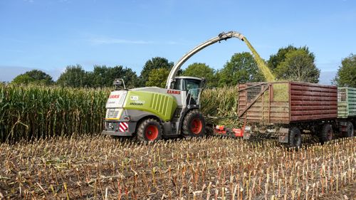 Free Corn harvester at work in Hamwarde, Germany harvesting crops on a sunny day. Stock Photo