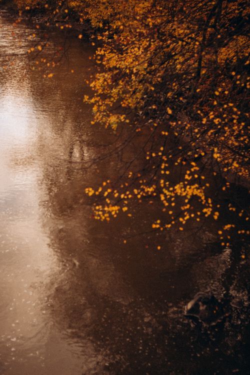 Free A tranquil river with golden autumn leaves reflecting on its surface, capturing the essence of fall. Stock Photo