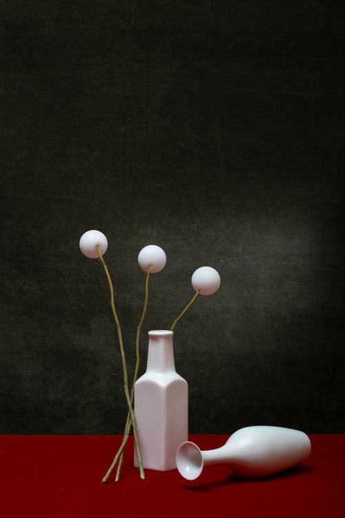 Free Elegant minimalist still life featuring white vases and spherical flowers on a red background. Stock Photo