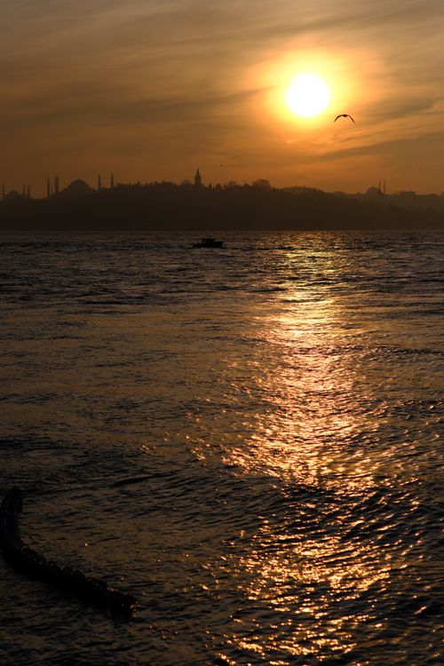 Free A tranquil sunset view over the Bosphorus with city silhouette and seagull in flight. Stock Photo