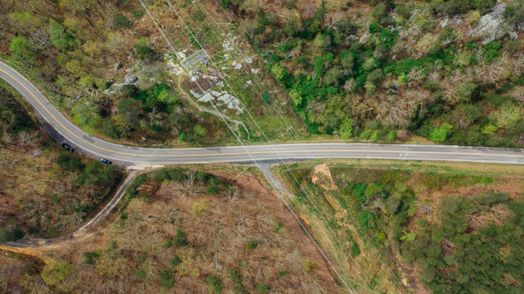 Wavy Road Near Bright Trees In Suburb In Summer