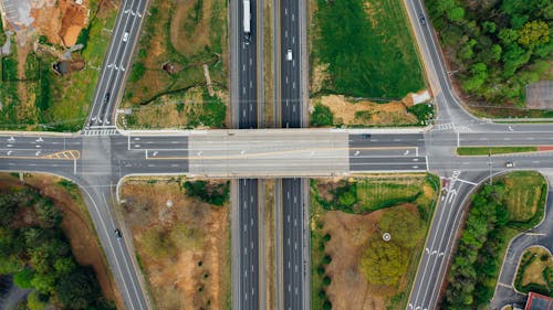 Highway junction with marking lines near green trees in suburb