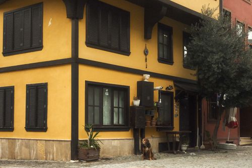 Free Charming yellow corner house with a dog sitting outside, showcasing traditional architecture. Stock Photo