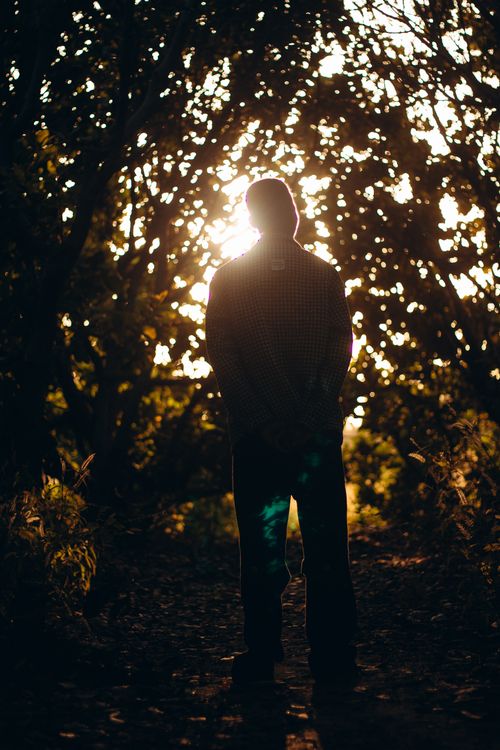 Free A contemplative silhouette of a person standing in a forest pathway as the sun sets behind them. Stock Photo