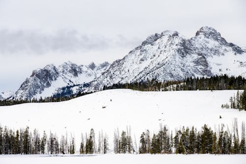Bezpłatne Śnieżne Góry I Wiecznie Zielone Drzewa W Dolinie Zimą Zdjęcie z galerii