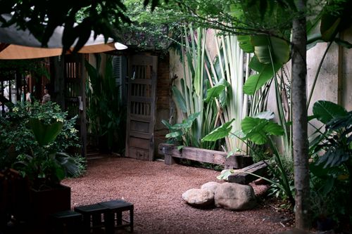 Free A serene outdoor courtyard featuring lush tropical plants, wooden benches, and gravel path. Stock Photo