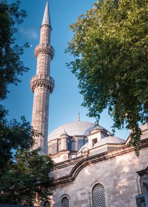 Free Beautiful view of a historic mosque's minaret and dome framed by trees in Istanbul. Stock Photo