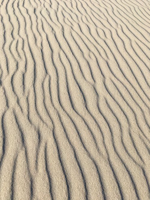 Free Close-up of textured sand ripples at a beach in Den Haag, capturing natural patterns. Stock Photo