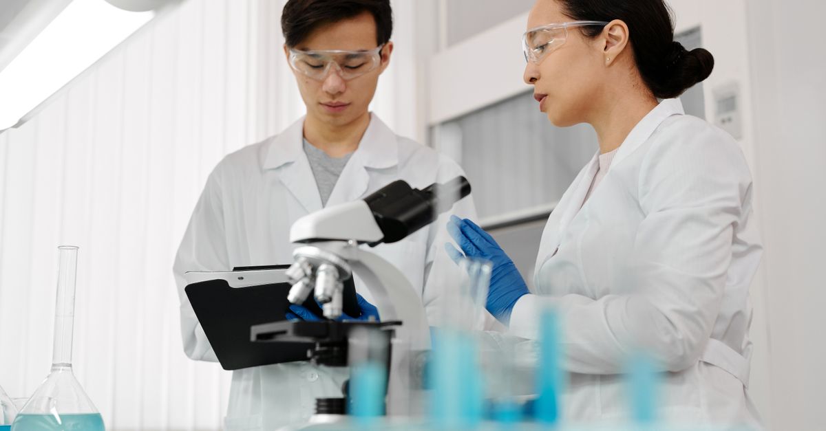 AI Startups Transforming the US Healthcare Landscape