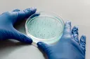 Is Cellular Senescence Therapy Safe? The Science of Targeting Aging Cells
