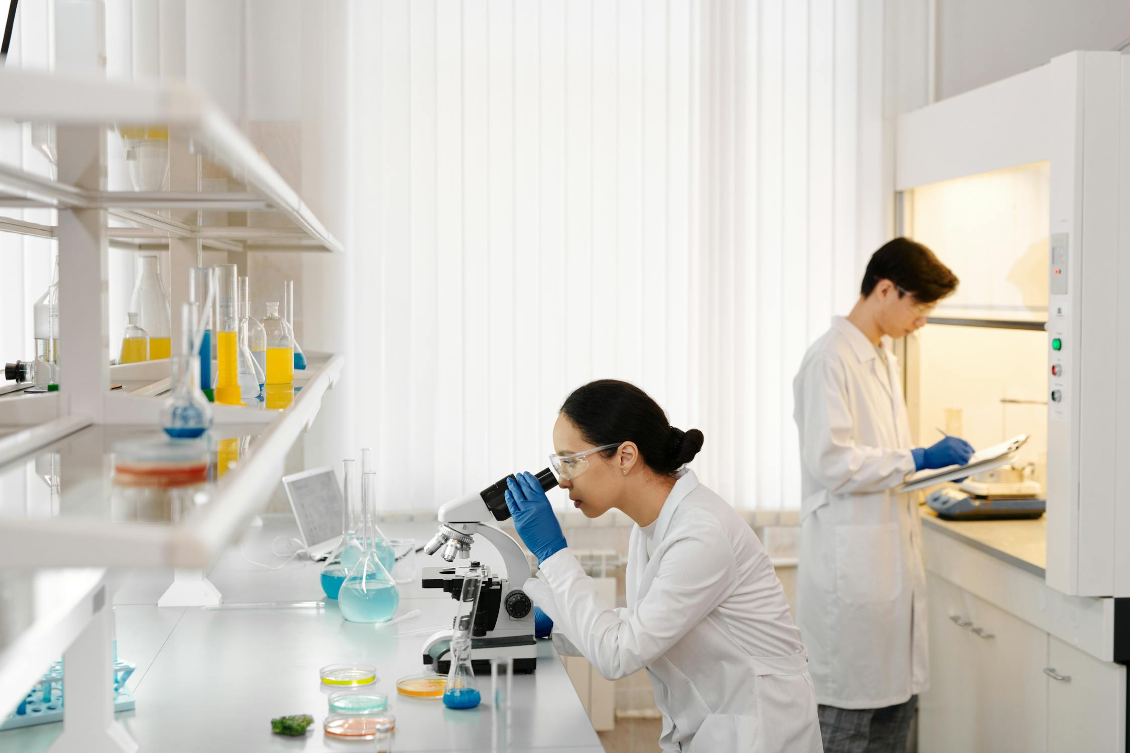 Laboratory Team
