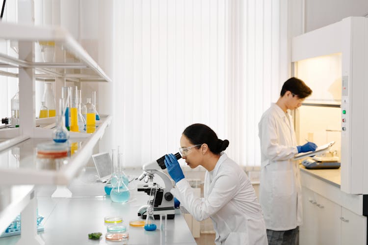 Scientists In Laboratory