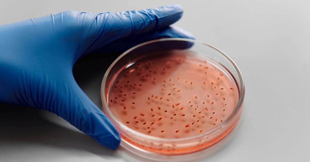 Siemens Healthineers Expands Infectious Disease Assay Portfolio