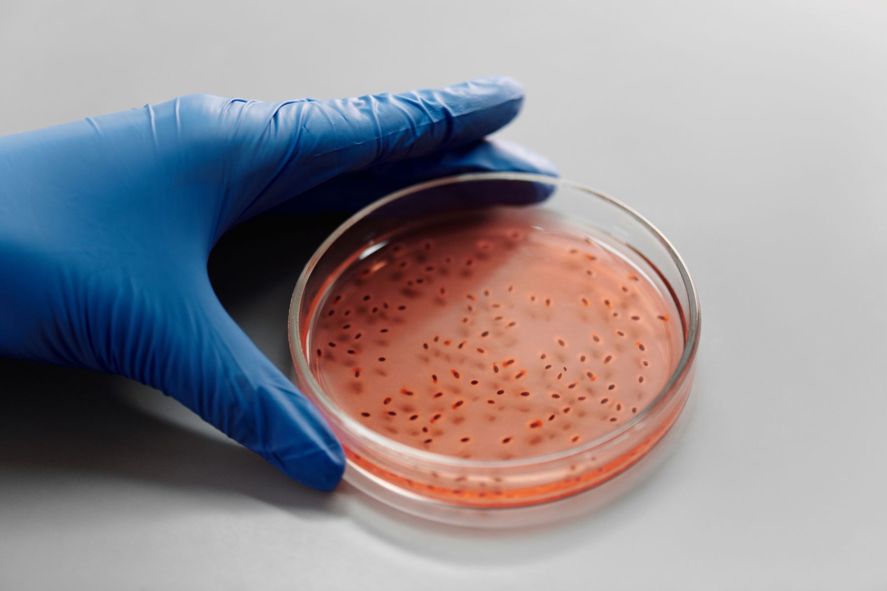 Lonza Serum-Free Media: Define the Cell Context and the Grade