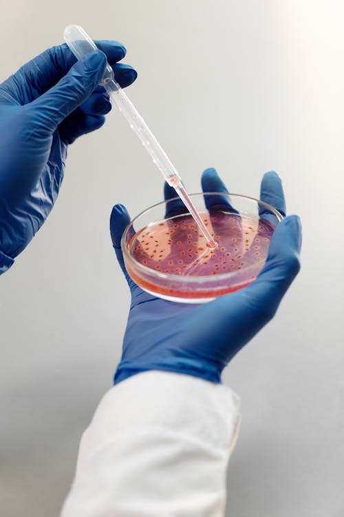 Free Person Using a Pipette Stock Photo