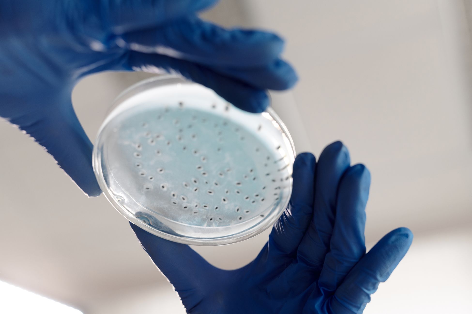 Microbioloog onderzoekt gezondheidseffecten buitenspelen met babypoep