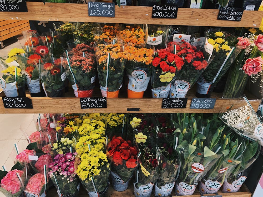 Gratis arkivbilde med blomst, blomster, blomstermarkedet