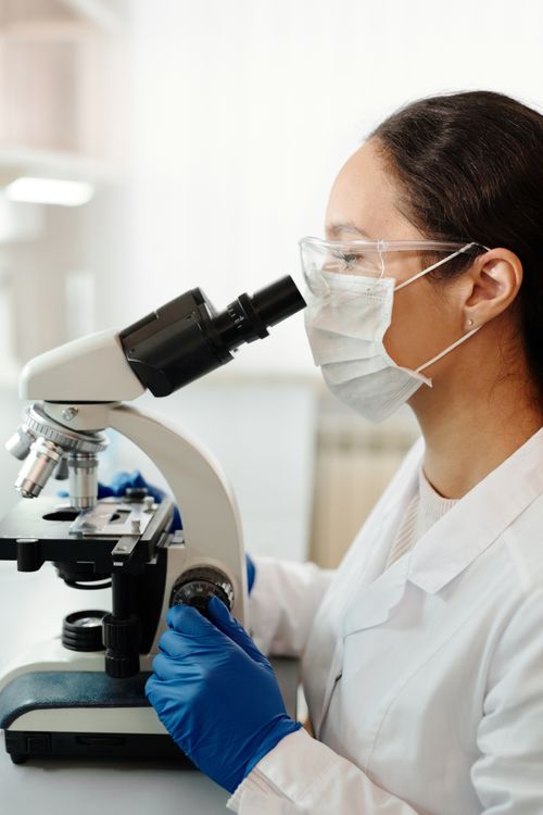 Free A female scientist examines samples with a microscope in a laboratory setting. Stock Photo