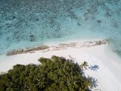无人机从空中拍摄下马尔代夫宁静的海滩与碧绿的海水，白色的沙滩和郁郁葱葱的绿植尽收眼底