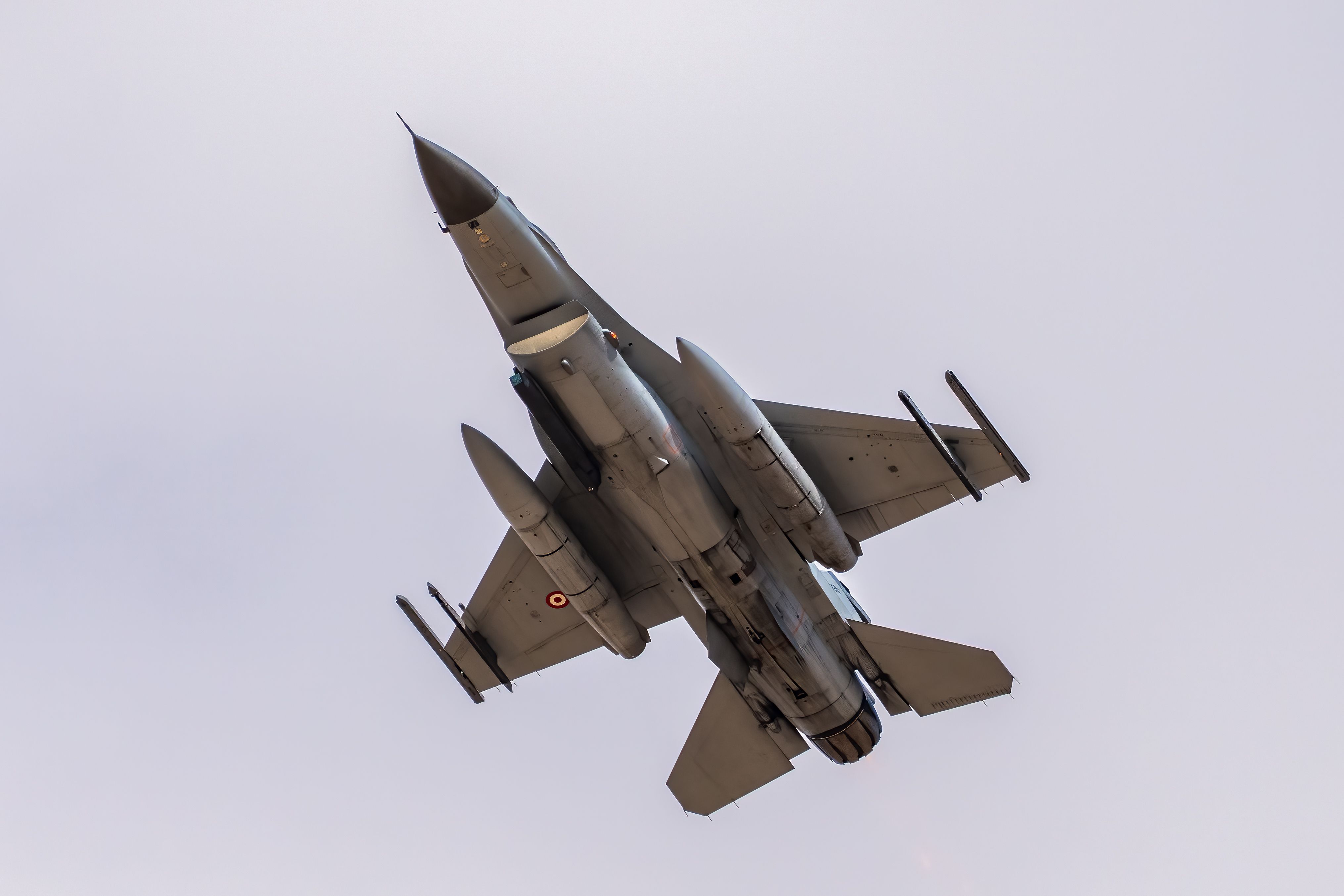 Rajnath raises U.S. F-16 package for Pakistan, cross-border terrorism with Hegseth news update image