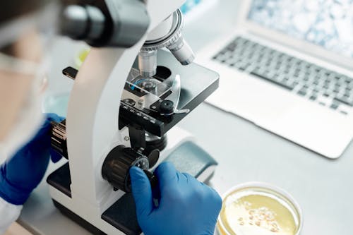Free Close-Up Shot of a Scientist Using a Microscope Stock Photo