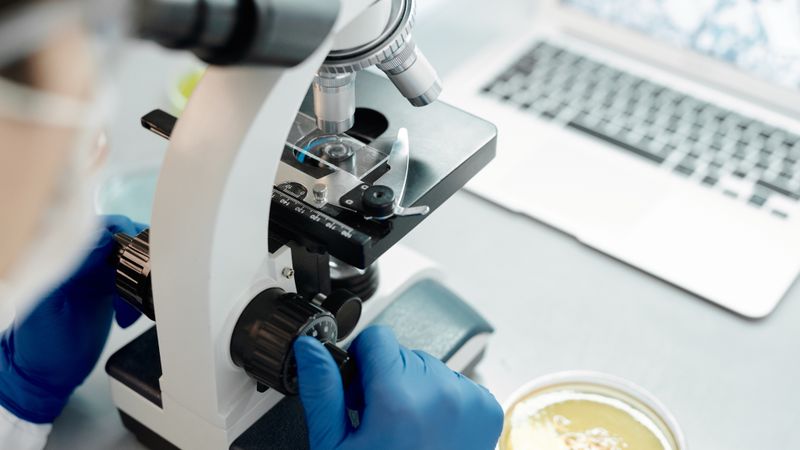 Researcher analyzing biological samples under a microscope in a laboratory.