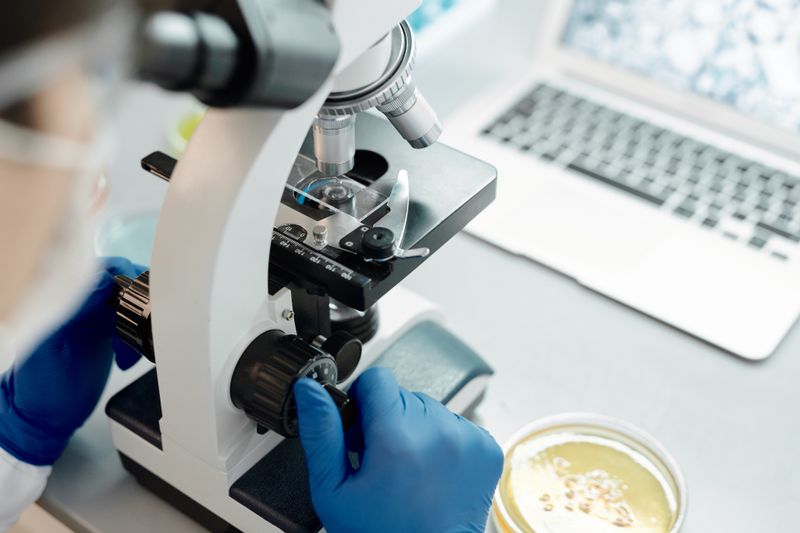 DNA analysis process in laboratory