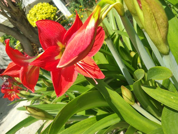 Hygiene tips for portable toilets