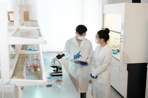 Free Two Scientists Working Inside the Laboratory Stock Photo