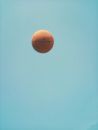Brown Basketball on Blue Sky