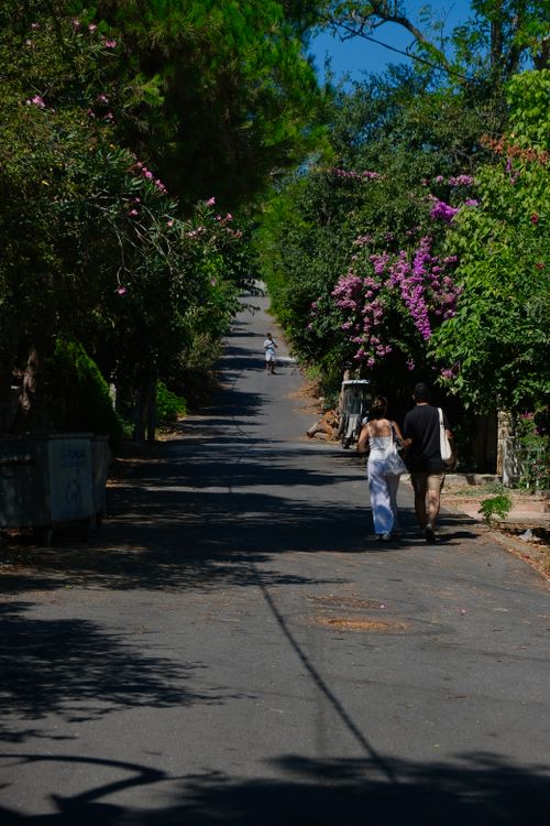 Free A picturesque street in Büyükada, İstanbul with lush greenery and blooming flowers under a bright blue sky. Stock Photo