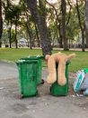 Dirty trash containers near green park