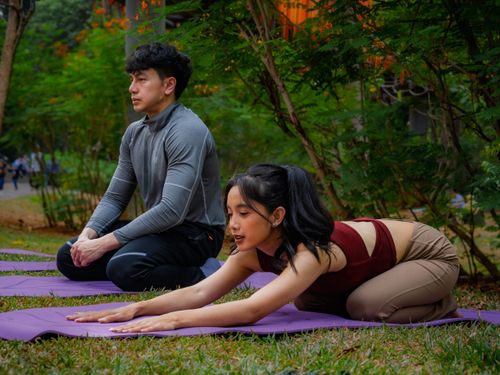 Free Two individuals practicing yoga on mats outdoors in a tranquil park environment. Stock Photo