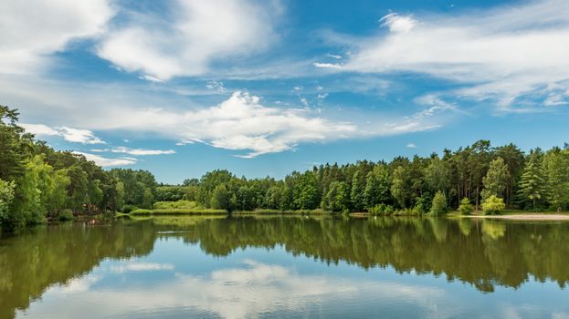 Picturesque landscape of calm lake surrounded by lush green trees and reflecting bright blue sky on sunny day