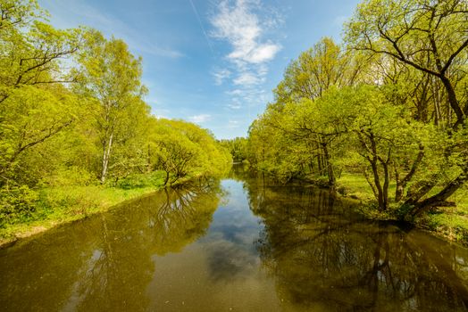 River Flowing Inbetween Green Forest
