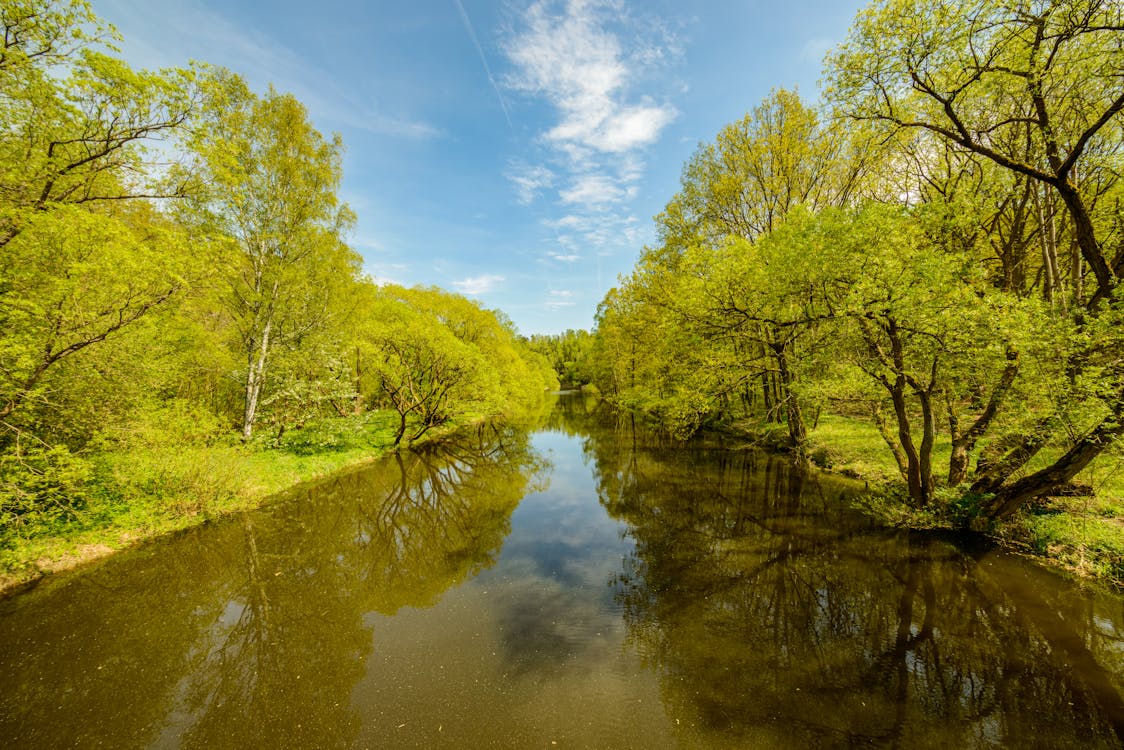 Kostenloses Stock Foto zu blauer himmel, fluss, grün