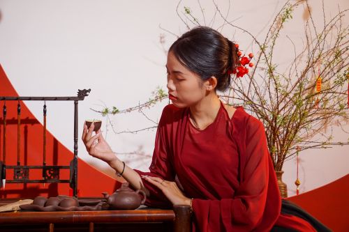 Free Portrait of a woman in Vietnam performing a traditional tea ceremony. Stock Photo