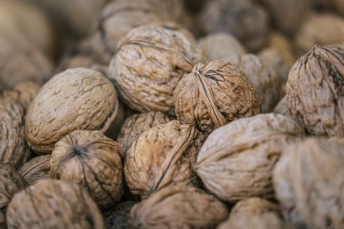 Free A detailed close-up of multiple walnuts in their natural shells, showcasing their texture. Stock Photo